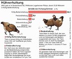 Infografik: Hühnerhaltung; Großansicht [FR]