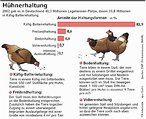 Infografik: Hhnerhaltung; Großansicht [FR]