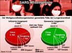 Infografik: SARS Krisenregionen: Großansicht [FR]
