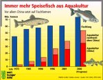 Infografik: Ungleiche Nahrung. Kaum tierische Nahrungskalorien in den Entwicklungsländern / Welthungerhilfe