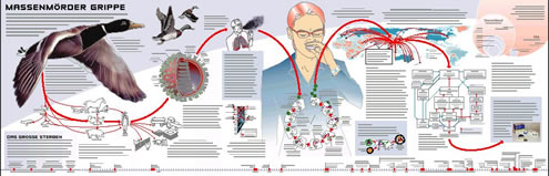 Download: Infografik: Gefahr einer weltweiten Grippe-Pandemie, bei: DIE ZEIT 3/13.1.2005