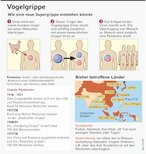 Infografik: Vogelgrippe: Wie eine neue Supergrippe entstehen knnte; Großansicht [FR]