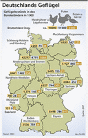 Infografik: Deutschlands Geflügel; Großansicht [FR]