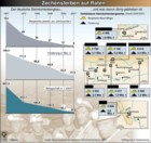 Steinkohlefrderung; Steinkohlebergwerke; Steinkohle-Subventionen; Beschftigte; Zechensterben / Infografik Globus 1955 vom 07.03.2008 