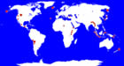 Geysire weltweit: Großansicht bei Wikipedia