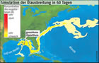 Simulation der lpestausbreitung in 60 Tagen:  Grafik Groansicht