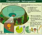 Biodiversitt, Pflanzenvielfalt, Nahrungssicherheit, Ackerbaupflanzen, Kulturpflanzen, Getreide , Landwirtschaft , Ernhrung , Nahrungsmittel , Getreideanbau / Infografik Globus 3333 vom 05.02.2010 