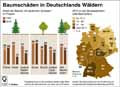 Baumschäden;_DE-2015 / Infografik Globus 11057 vom 10.06.2016
