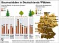 Baumschäden-DE-2016 / Infografik Globus 11804 vom 16.06.2017