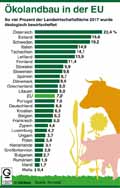  Globus Infografik 13007