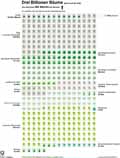 Drei Billionen Bume gibt es auf der Erde / Infografik Globus 13471 vom 27.09.2019