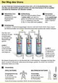  Globus Infografik 13571