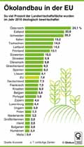  Globus Infografik 13692