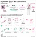  Globus Infografik 14075
