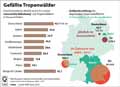 Gefllte Tropenwlder / Infografik Globus 14603 vom 16.04.2021