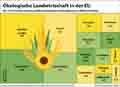  Globus Infografik 17860