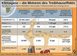Infografik:  Klimagase - Motoren  des Treibhauseffekt / Großansicht